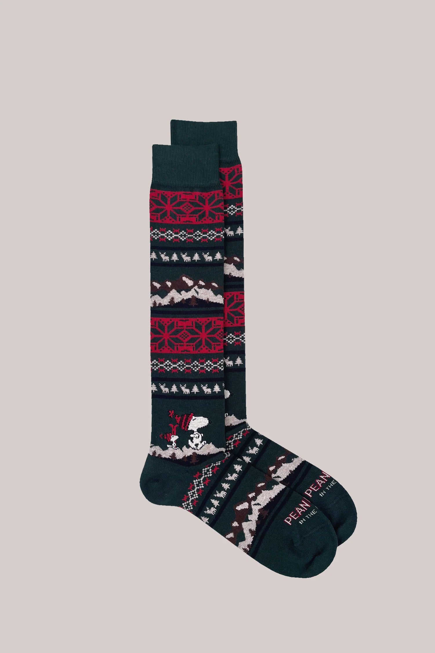 Immagine diapositiva
